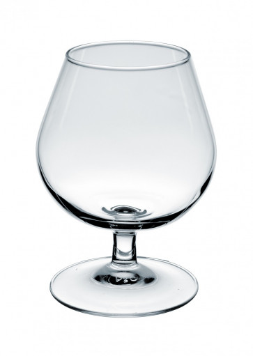 Cognacglas 25cl Degustation