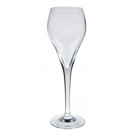 Champagneglas 16cl Brio