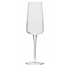 Champagneglas 24 cl Nexo